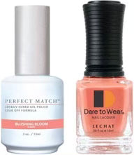 LECHAT PERFECT MATCH DUO - #171 BLUSHING BLOOM
