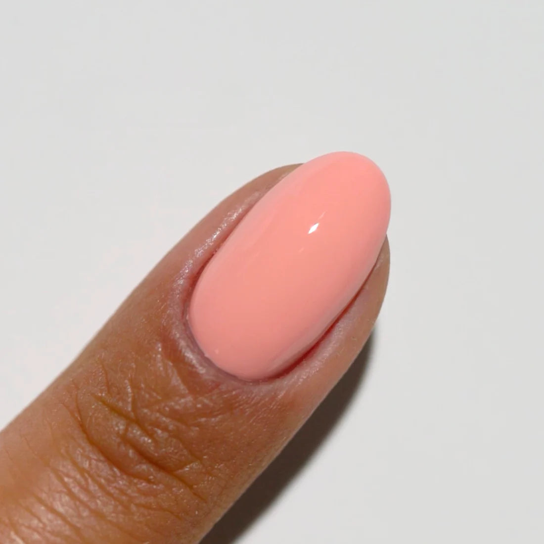 STARFISH CHAI DIVA #049