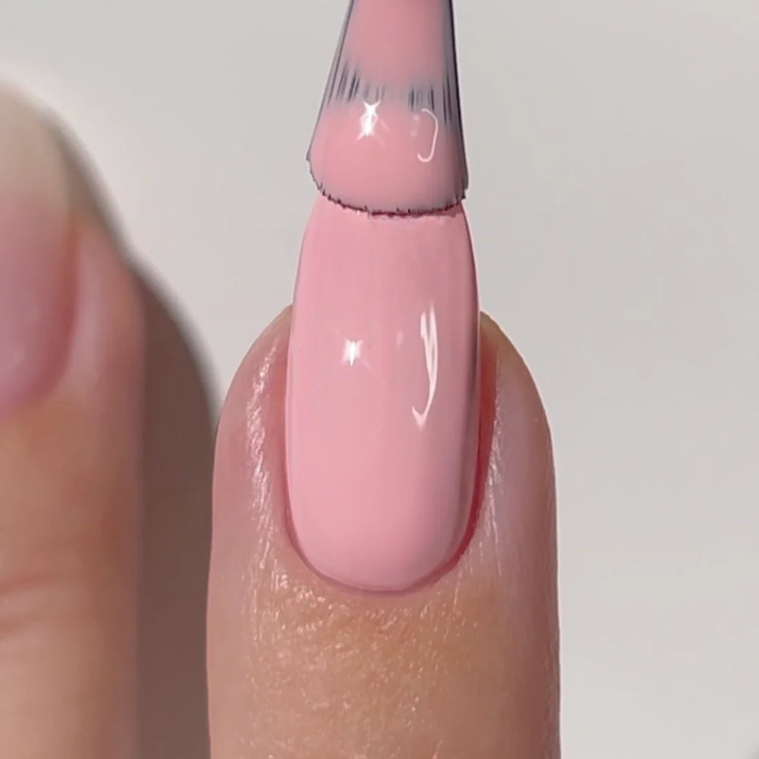 TEXAS ROSE DIVA #066