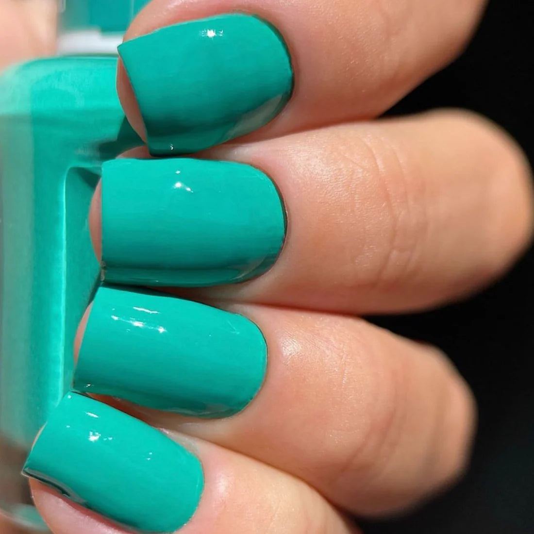 DND- ISLAND OASIS #438