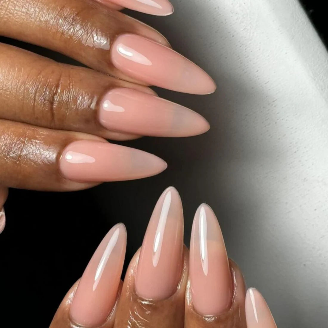 DND-SOFT TULIPS #866