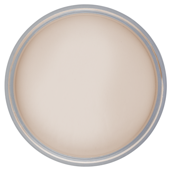 Acrylic Powder | Cover Peach 2oz
