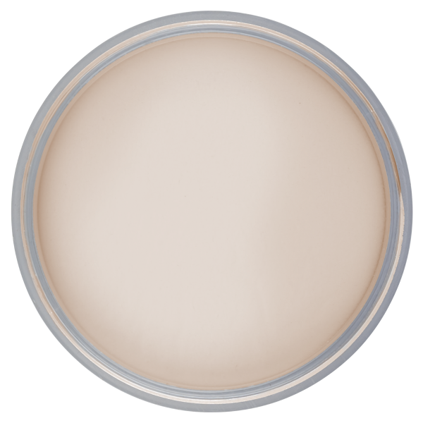 Acrylic Powder | Cover Peach 4oz