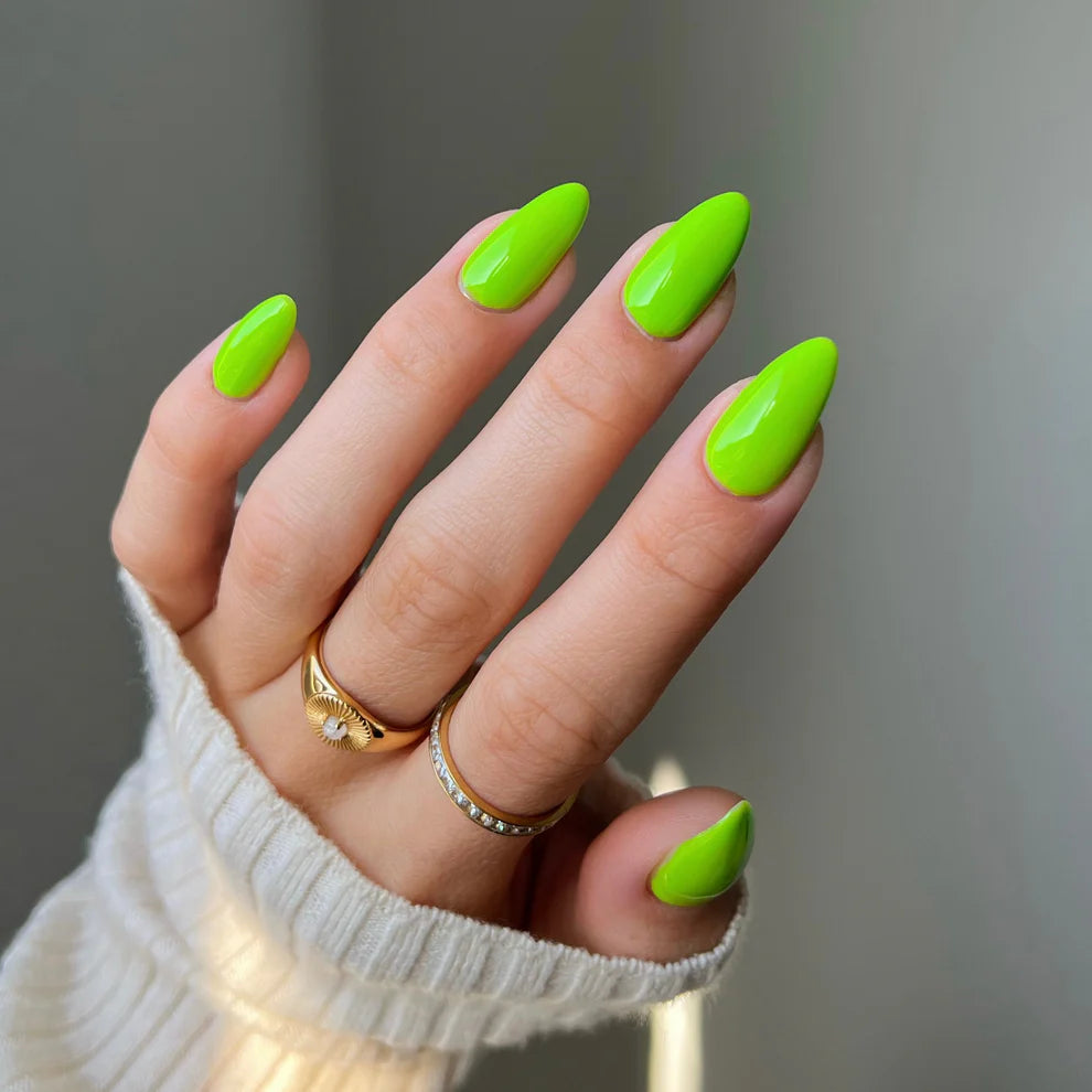 WASABI BABY DIVA #279