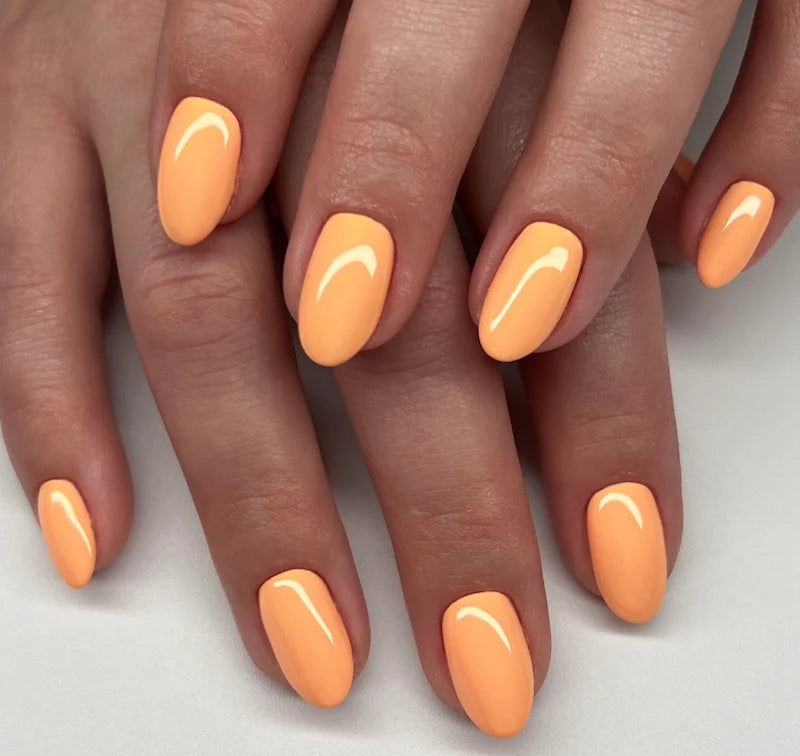 DC MANDARIN GLOW #2538