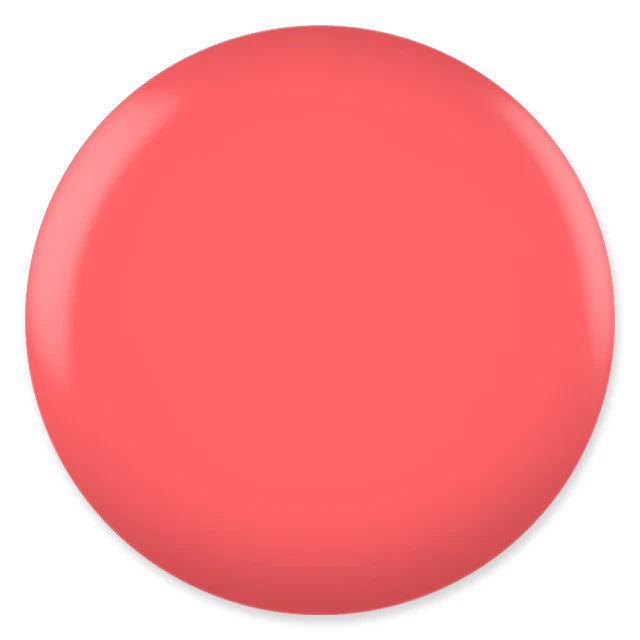 DC TERR PINK #037