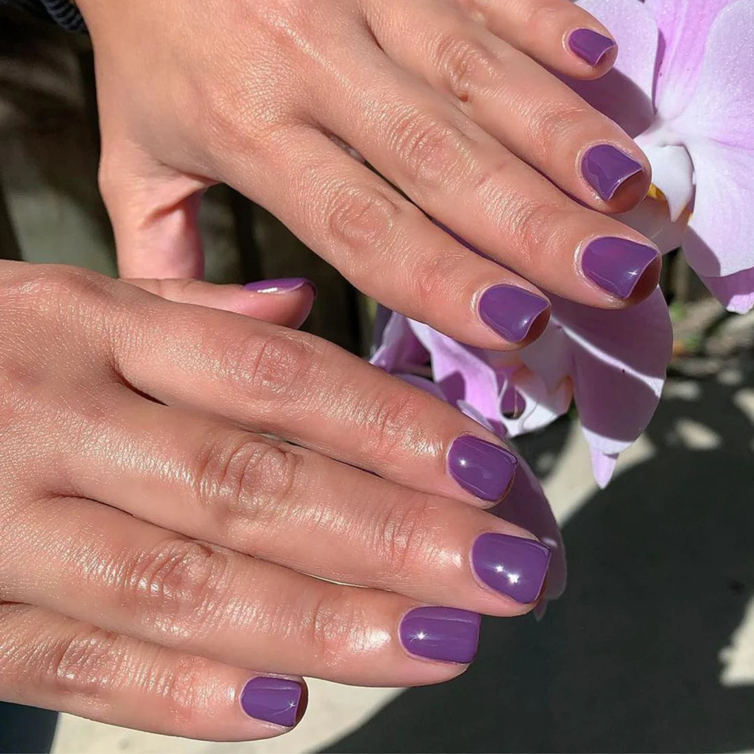 DC ELECTRIC PURPLE #048