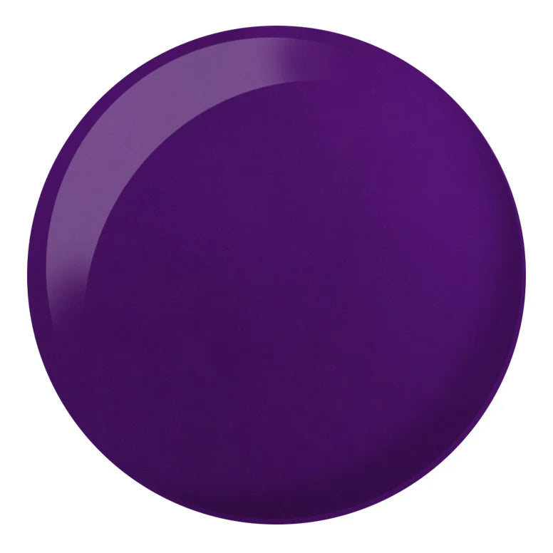 DC PUZZLED PURPLE #261