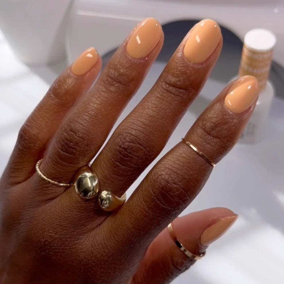 DND-FOXY SUNSET #994