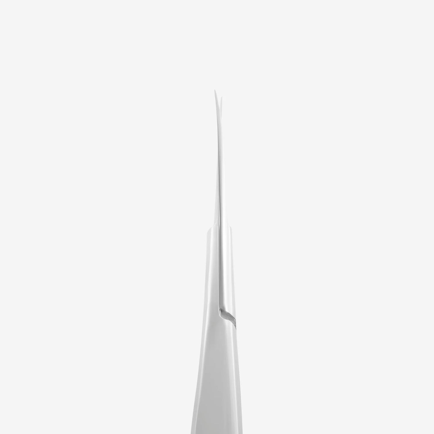 Staleks-Professional micro scissors for eyebrows modeling EXPERT 90 TYPE 2