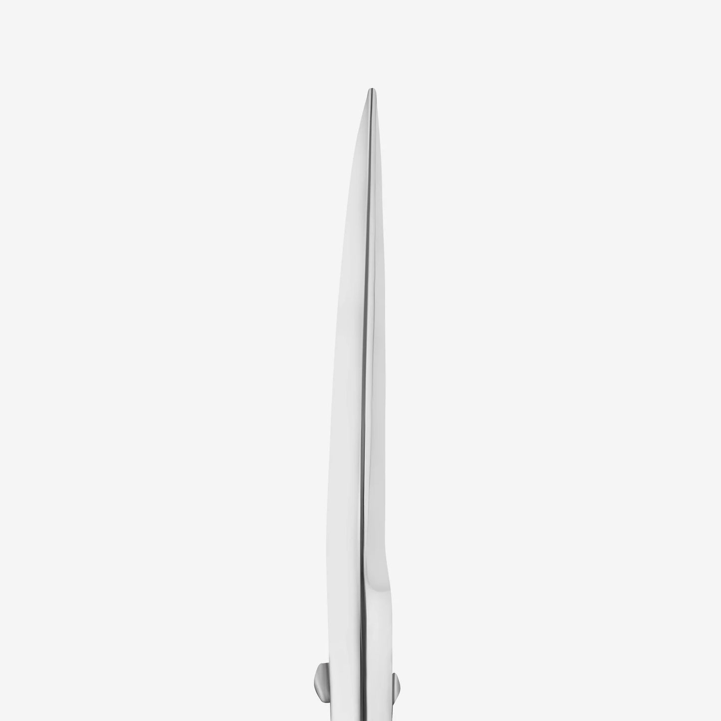 Staleks-Professional scissors for eyebrows modeling EXPERT 30 TYPE 1