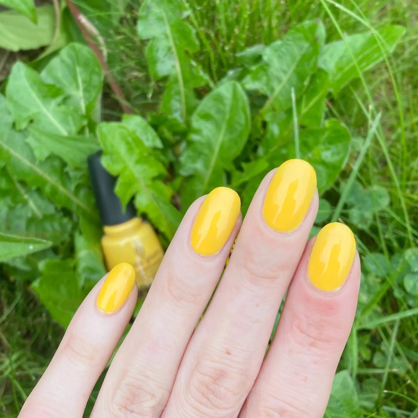 China Glaze - Home Sweet House Music (#82604)