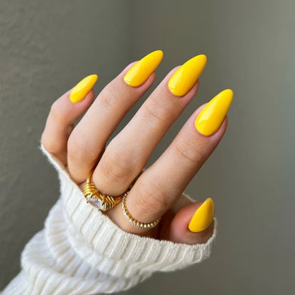 MARIGOLD DIVA #204