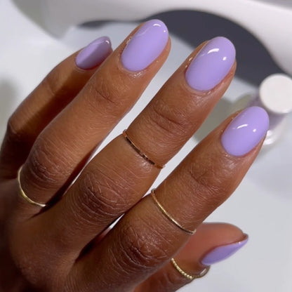 DND-GREAT SMOKY MOUNTAIN #572