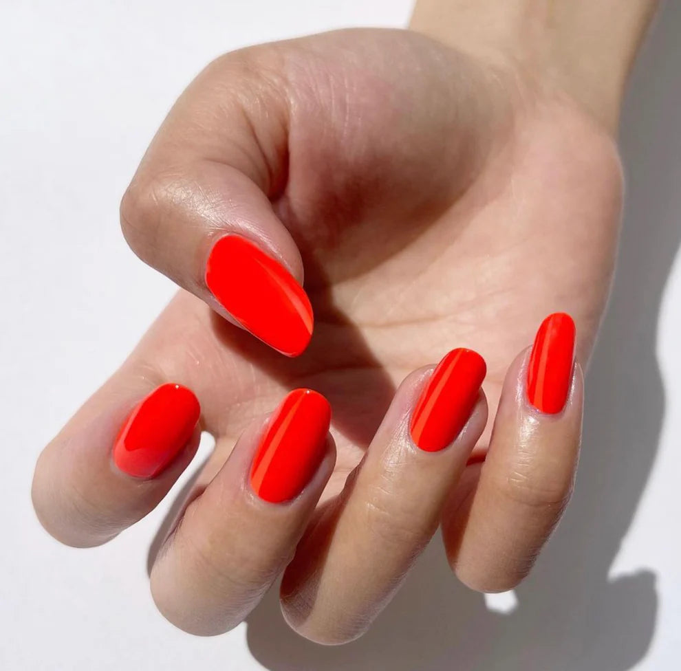 DND-ISLAND PUNCH #715