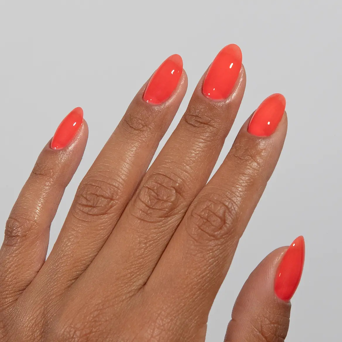 DND - DC - JELLY – #012 POPPY