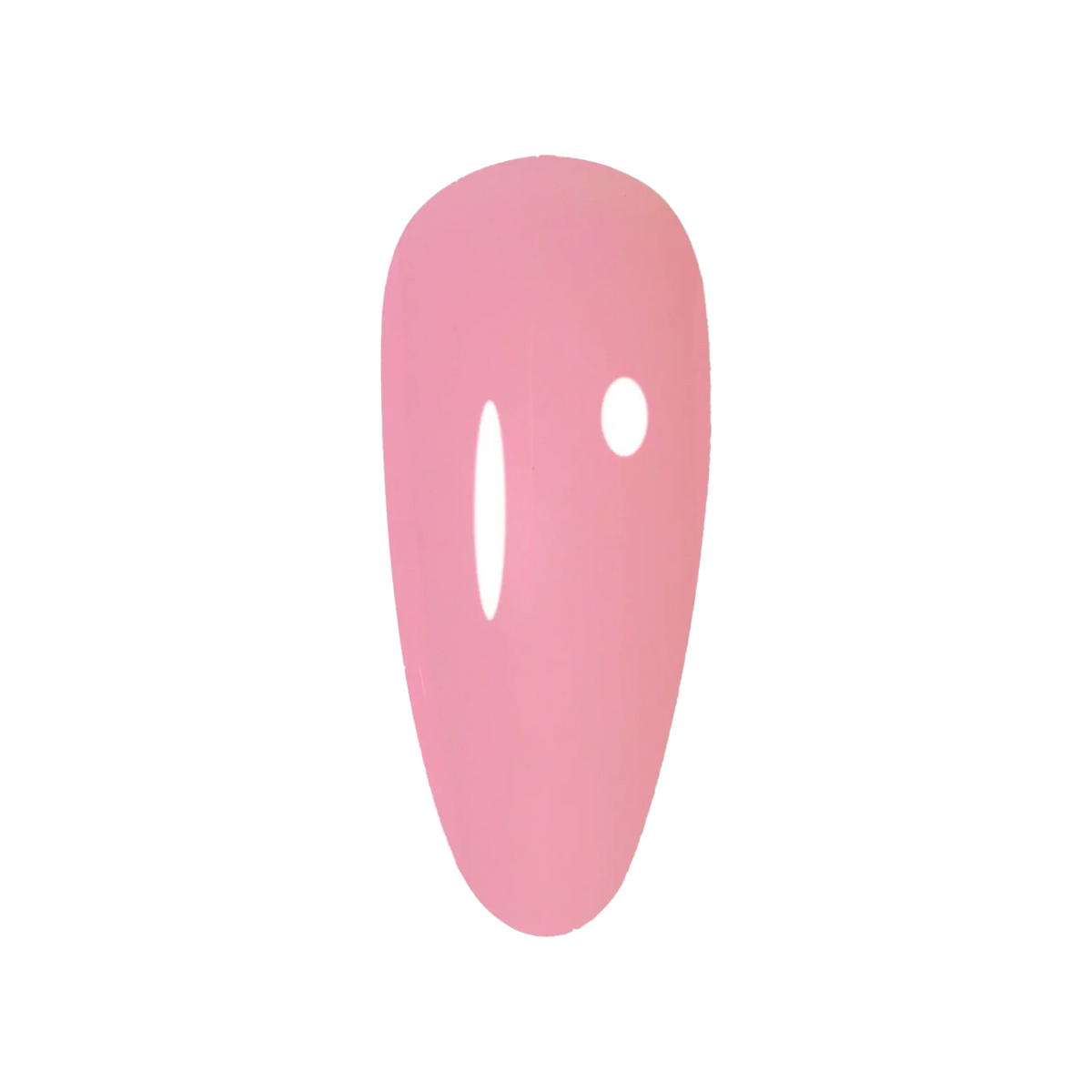 DND - DC - JELLY – #016 ROSE