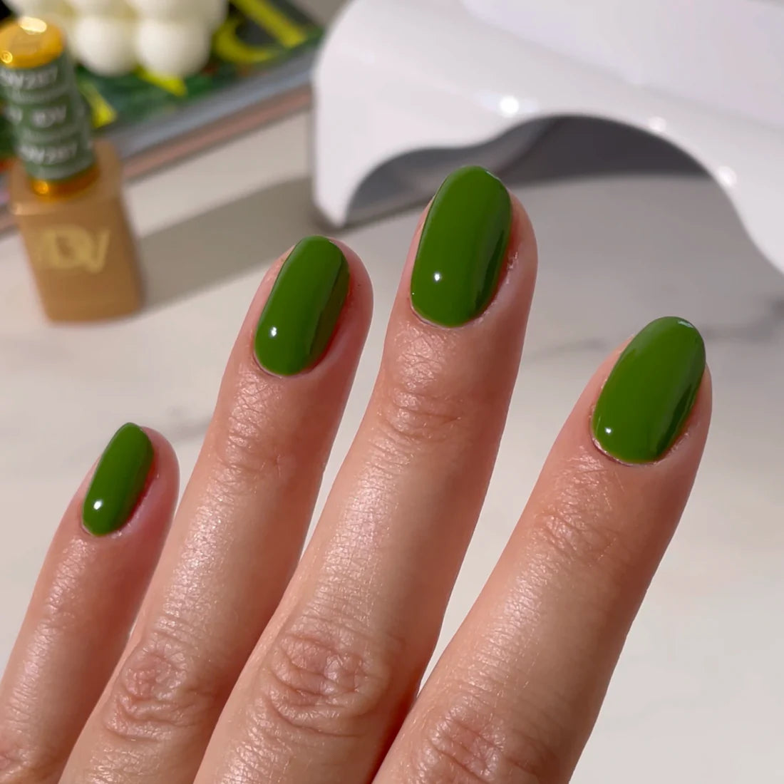 HOUSEPLANT DIVA #287