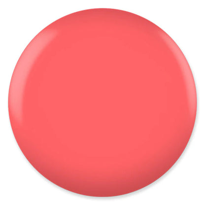 DC TERR PINK #037