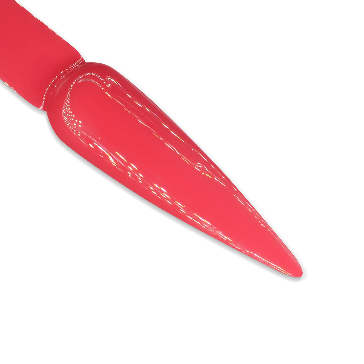 iGel Match - 085 Santa Monica